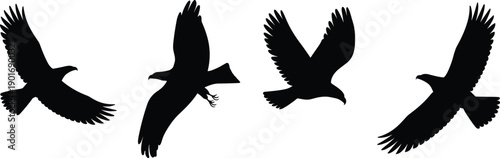 Dynamic composition of four black silhouette eagles in flight with outstretched talons and varied wing configurations on white