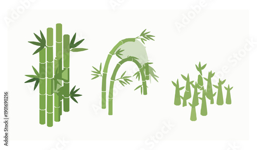 Isometric bamboo plants illustration with grouped stalks and shoots isolated on white background