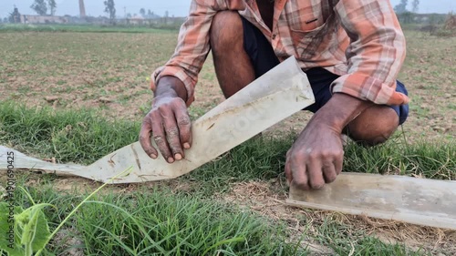 Professional cinematic video of a farmer connecting irrigation pipes in a field, Agricultural Water Management in Bangladesh, 4K UHD 30fps.