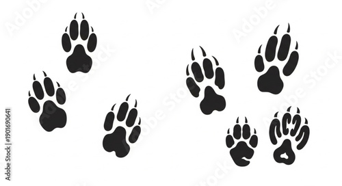 Animal Paw Prints on White Background.