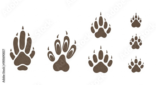 Animal Paw Prints Collection Isolated on White Background.