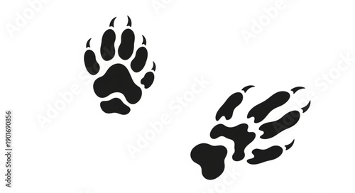Animal Paw Prints Isolated on White Background.