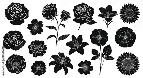 Black and white silhouettes of various blooming flowers and botanical elements