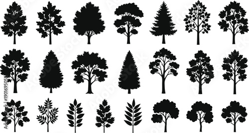 Collection of diverse black silhouette trees and leafy branches