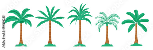 Palm tree cartoon clipart set. Coconut Palm tree green icon clip art with leaf frond and stylized design tropical plant flat drawing symbolic collection vector illustration.

