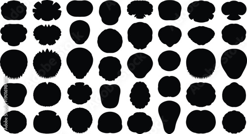 Abstract black shape collection silhouette set, organic blob frames and decorative badges, vector design elements isolated on white background