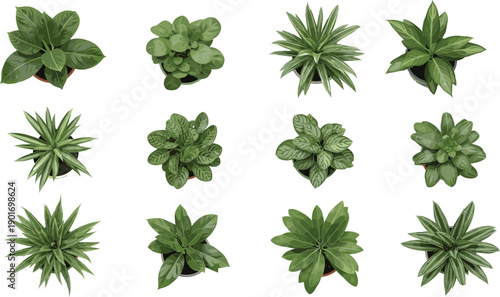 Black and white vector silhouettes of land tortoises and turtles in various poses featuring side views and top down shells, isolated.