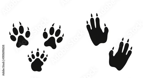 Animal Paw Prints Tracks Set Vector Illustration.