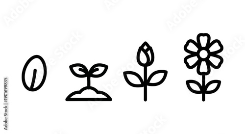 Plant Growth Stages Icons: Seed to Blooming Flower