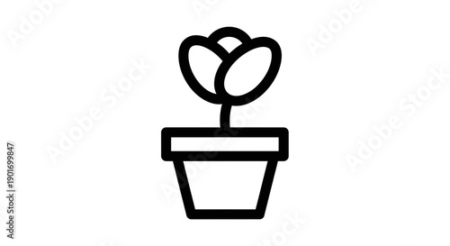 Potted Tulip Icon