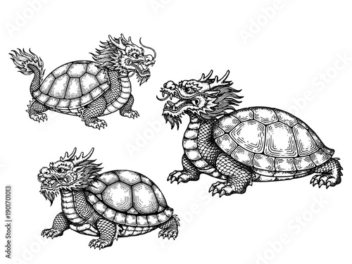 Chinese dragon turtle engraving illustration for Lunar New Year wealth branding