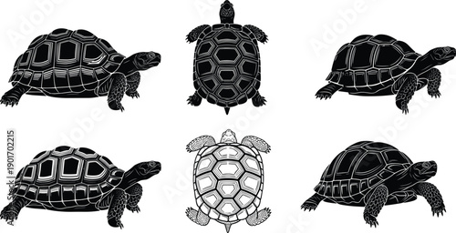 Comprehensive collection of vector silhouettes featuring sport fishing boats, land tortoises, fashion apparel sketches, sleeping dogs, and wild rabbit poses, isolated.