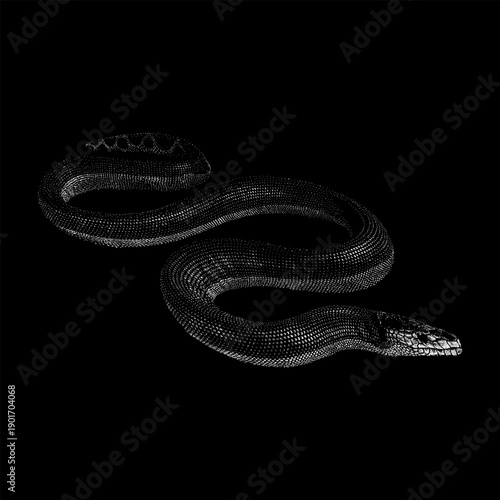 Hand drawn vector illustration of Palaeophis, an extinct prehistoric sea snake. Detailed black ink engraving style depicting an ancient marine reptile from the Paleogene era.
