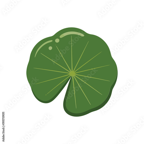 Green lotus leaf illustration, round water lily pad icon for pond garden design, spa branding, meditation graphics, botanical education