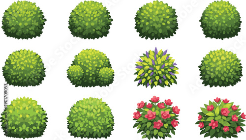 Green garden bush vector set, decorative shrub collection, flowering plants landscape elements, colorful foliage cartoon illustration design pack