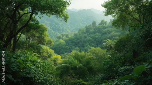 Serene Jungle Landscape With Dense Foliage And Misty Atmosphere During Early Morning Or Late Afternoon