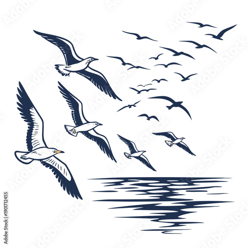 Seagulls flying over water birds flock