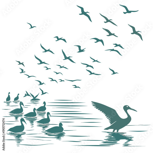 Bild auf Leinwand Teal birds flying and swimming on water seagulls pelicans