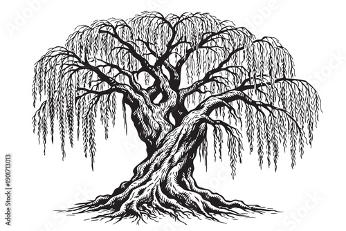 A detailed vector shows a shady oak tree standing proudly with dense foliage, expressing resilience, growth, and harmony with nature in a peaceful and visually rich composition.