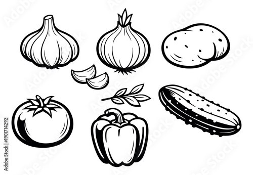 Hand drawn line art vegetable set featuring garlic, onion, potato, tomato, bell pepper, and cucumber for cooking and healthy eating