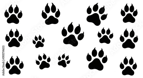 Black Paw Prints on a White Background.