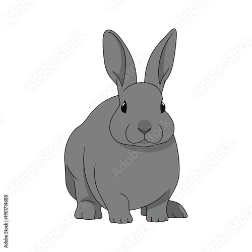 Cute Gray Rabbit Cartoon Illustration Isolated