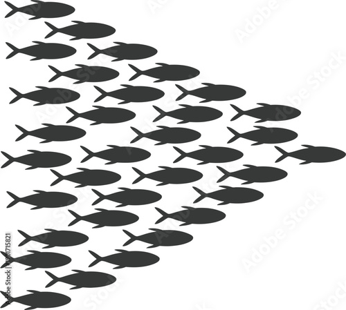 Foto School of fish swimming in unison