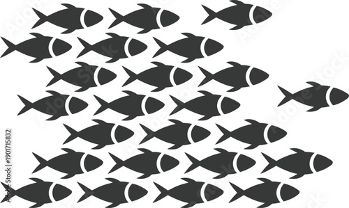 School of fish swimming in unison