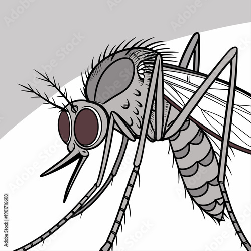 Close up of mosquito face with compound eyes and gray body