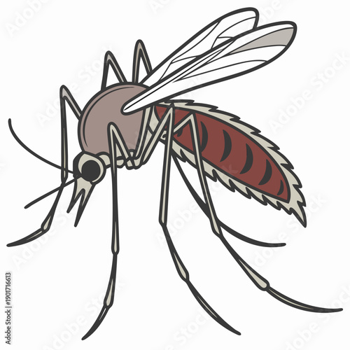 Close up mosquito with red and grey wings insect insecta