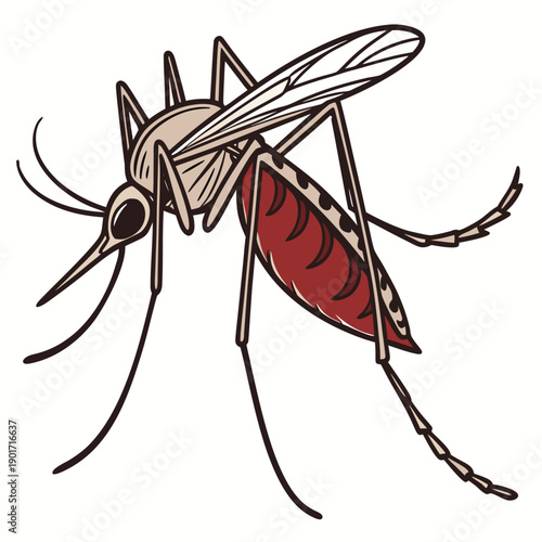 Engorged Mosquito Cartoon insect insecta zoology