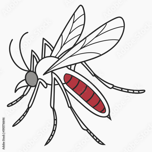 Enlarged mosquito body with red storage organ visible