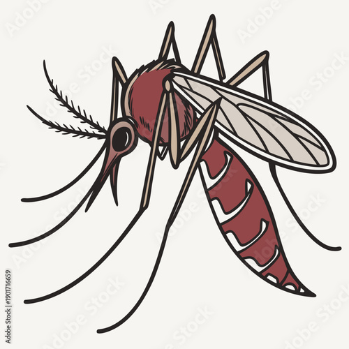 Filled mosquito abdomen macro insect red abdomen engorged