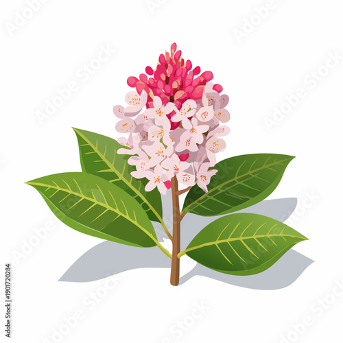 Pink and white flower cluster with green leaves