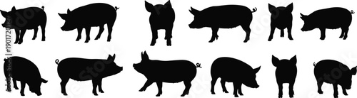 Pig silhouette collection farm animal black hog set isolated white background livestock vector illustration clipart bundle