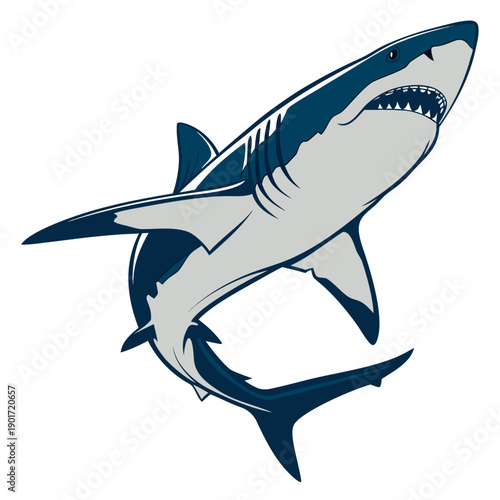 Gray and blue shark swimming with mouth open gray shark
