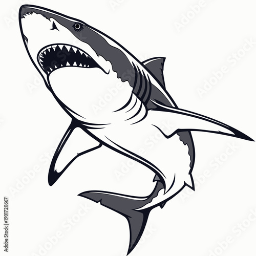 Gray and white shark with open mouth gray shark sharp teeth