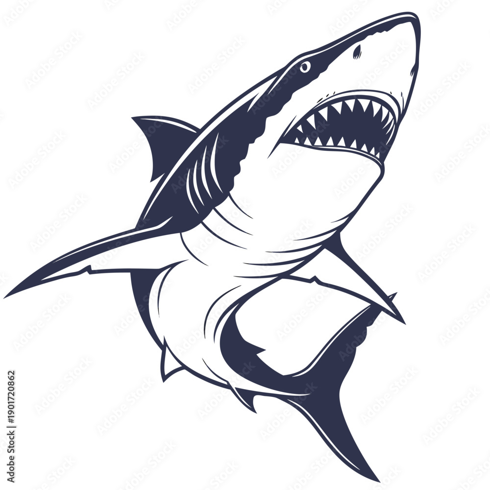 Obraz premium Shark approaching with mouth open and sharp teeth visible