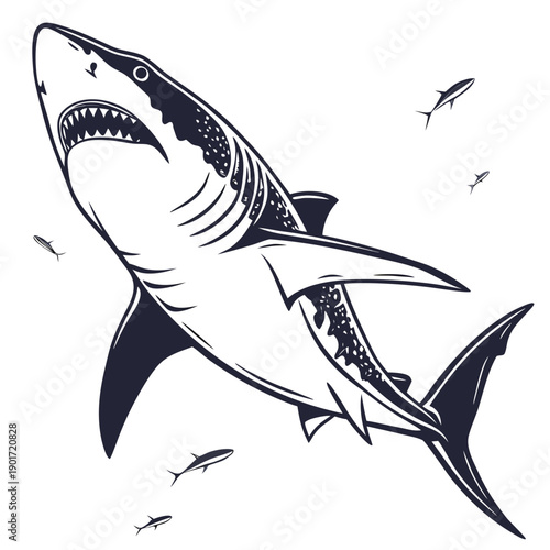 Large shark with sharp teeth approaching head on surrounded by smaller fish