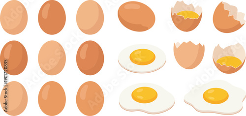 Egg Vector Illustration Set with Whole, Cracked, Boiled, and Fried Eggs