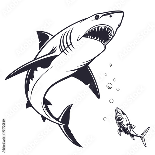 Shark approaching small fish with open mouth and sharp teeth
