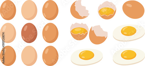 Egg Vector Illustration Set with Whole, Cracked, Boiled, and Fried Eggs