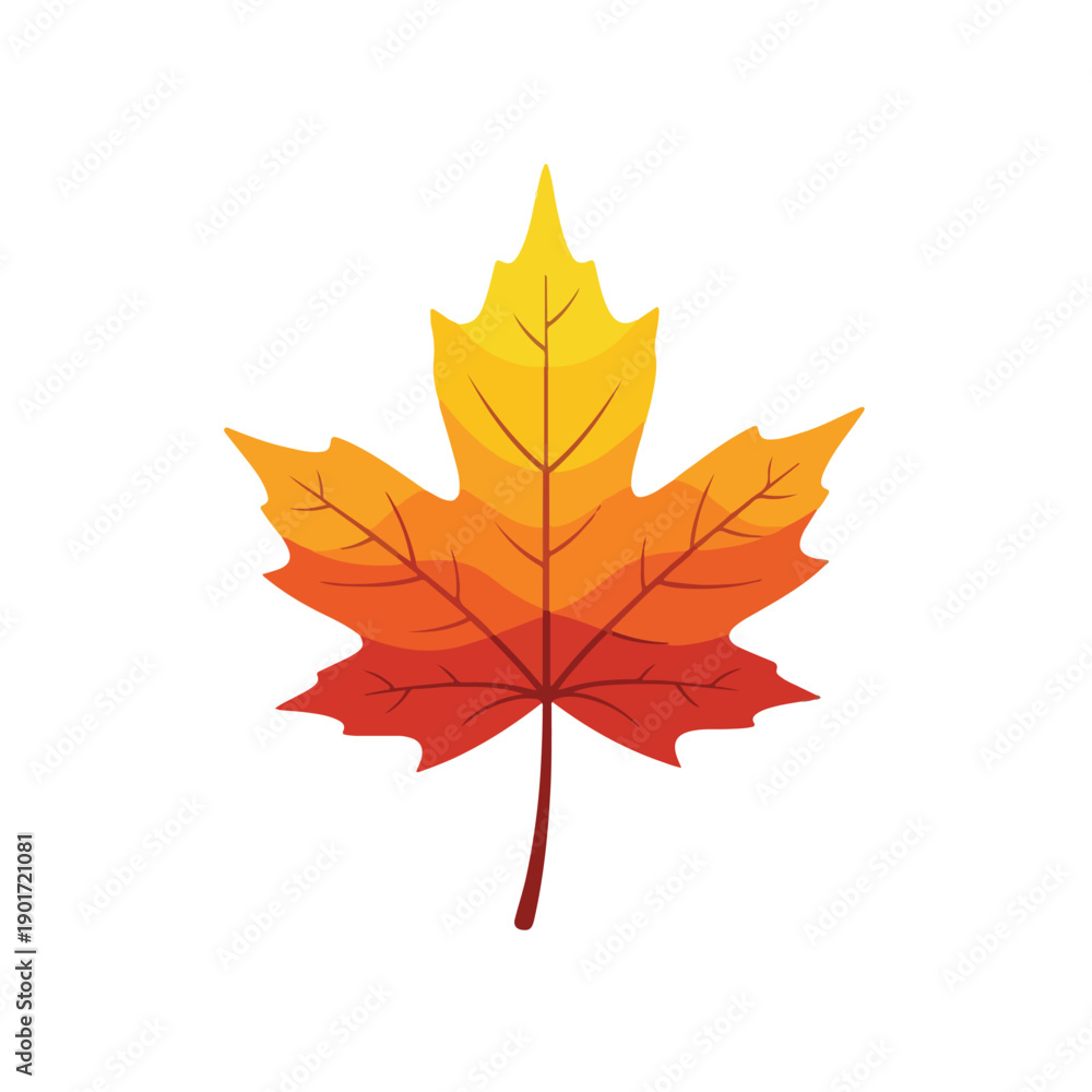 Obraz premium Colorful maple leaf with yellow, orange, and red gradient