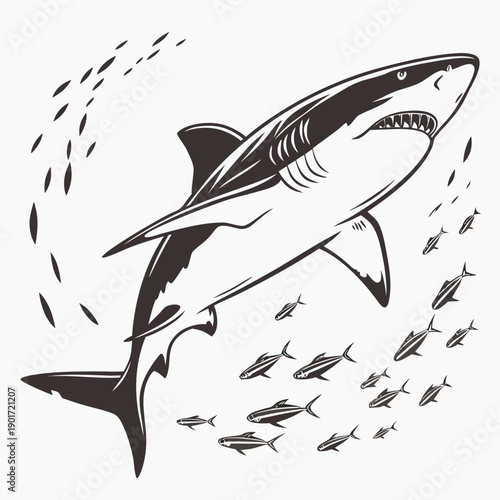 Shark swimming with school of small fish school of fish