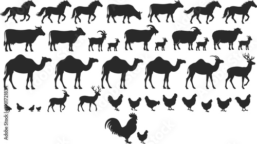 Farm animal silhouette collection horse cow goat camel deer chicken rooster isolated white background black livestock vector illustration set