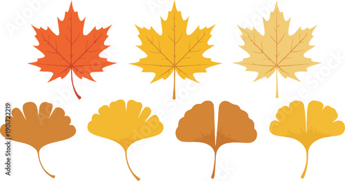 Autumn Leaves Flat Vector Set with Maple and Ginkgo Foliage
