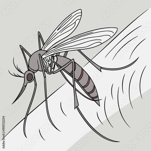 Gray mosquito hovering in mid air with motion lines