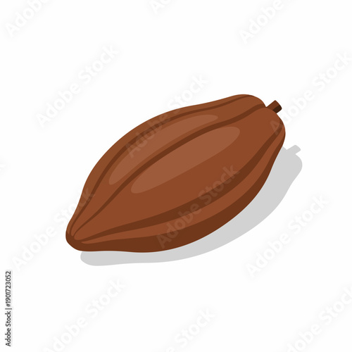 Realistic Detailed Illustration of Cocoa Bean Tropical Fruit Agricultural Product