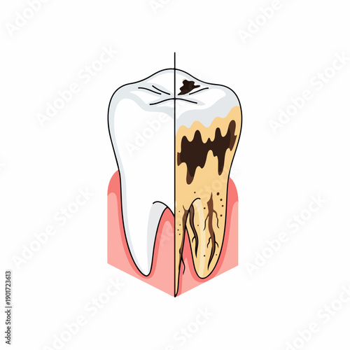 Realistic Colored Tooth Health Condition Dental Care Hygiene Illustration