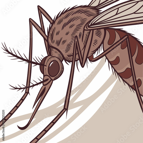 Hyper realistic mosquito head and mouthparts close 1